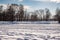 Snow Covered Forest Lake Under Bright Sunshine. Scenic Landscape