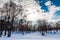 Snow Covered Forest Lake Under Bright Sunshine. Scenic Landscape.