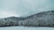 snow-covered forest in the overcast mountains