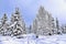 Snow-covered forest, thick layer of snow, clear weather, winter landscape - Art Collection