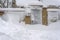 Snow-covered gate and trick. snow sweeps. The concept of a snowy winter. Snow blocked the entrance