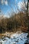 Snow-covered glade in a mountain forest