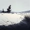 Snow-Covered Grass and Evergreens, Made with Generative AI