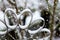Snow-covered gray stainless steel Flower. Winter background with snow.