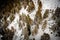 Snow covered ground with pine trees in winter. Diablerets Glacier, Switzerland