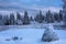 Snow covered haystacks