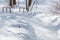 Snow-covered hiking trail in the city park