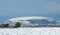 Snow-covered Knocknarea mountain