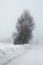 snow-covered landscape, snowy misty scenery, trees in thick fog, snowy road