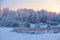 From the snow covered lawn there is a view to nice trees covered by frost and snow.