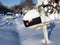 Snow covered mailbox