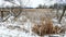 Snow Covered Marsh Area in Winter