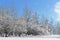 Snow-covered Moscow. Mitino Landscaped park after heavy snowfall