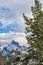 Snow-covered Mount Rundle with snowy forest. Banff National Park beautiful landscape in winter