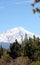 Snow covered Mount Shasta, Northern California