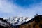 Snow-covered mountain in the background with mountain covered with pine trees in the front