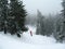 Snow covered mountain hills. Snowboarder in a red jacket rides. Winter forest background