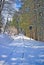 Snow covered mountain railway in late winter