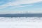 Snow covered mountains landscape. Fagaras chain in Romania