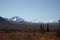 SNOW COVERED MOUNTAINS MT MCKINLEY DENALI ALASKA