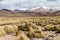 Snow covered mountains soaring from altiplano in Boliv