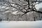 A snow-covered oak branch hangs over a forest lake covered with ice and fluffy snow. Winter landscape, forest in the snow. Snow on