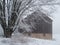 Snow covered old barn with maple tree and field in foreground