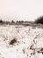 snow covered outside field meadow winter december landscape nature white sky space empty