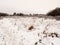 snow covered outside field meadow winter december landscape nature white sky space empty