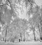 A snow-covered park is a beautiful sight that leaves no one indifferent