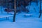 Snow covered park benches in a public park