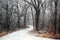 Snow Covered Path