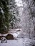 Snow Covered Path