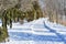 Snow Covered Path Through Arboretum