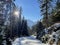 snow covered path through the forest with the sun shining through the trees and blue mountain tops in the distance