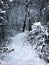 Snow Covered Path in the Woods