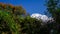 Snow covered peak of Annapurna Massif