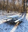 Snow covered picnic table in woods