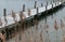 Snow covered pier during winter