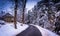 Snow covered pine trees and barn along a country road in rural C