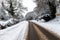 Snow covered road through