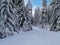 Snow Covered Road