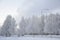 Snow covered road in Finnish Lapland, it's still snowing