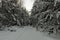 Snow-covered road through the Orthodox cemetery in the forest