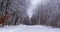 Snow-covered road surrounded by frozen trees in winter, Minnesota