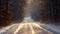 A snow-covered road winds through a dense forest, creating a scenic winter landscape, Sparse snowflakes falling gently onto a