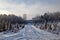 Snow covered road in a Wisconsin forest on a January afternoon