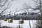 Snow covered round bales of hay in a farmers field