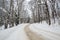 Snow Covered Rural Road