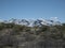 The Snow Covered Santa Catalina Mountains from Lambert Lane Park